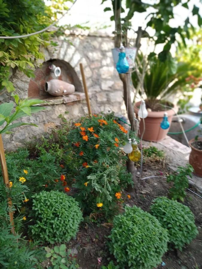 Villa Maria Luxury Apartments "Bunec-Piqeras"! Dış mekan fotoğraf